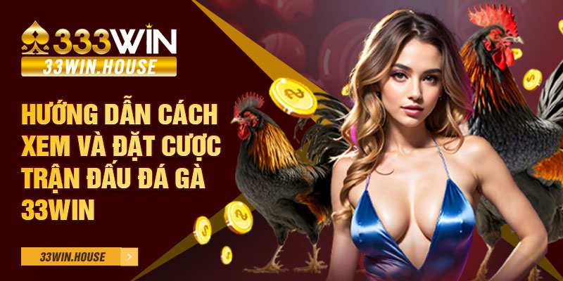 Hướng dẫn cách xem và đặt cược trận đấu Đá gà 33win