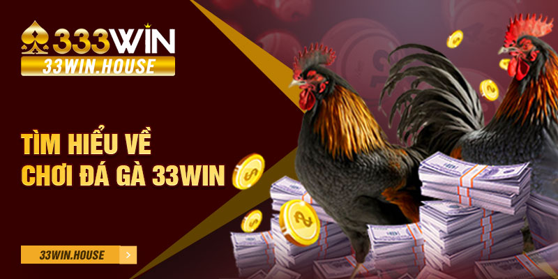 Tìm hiểu về chơi Đá gà 33win